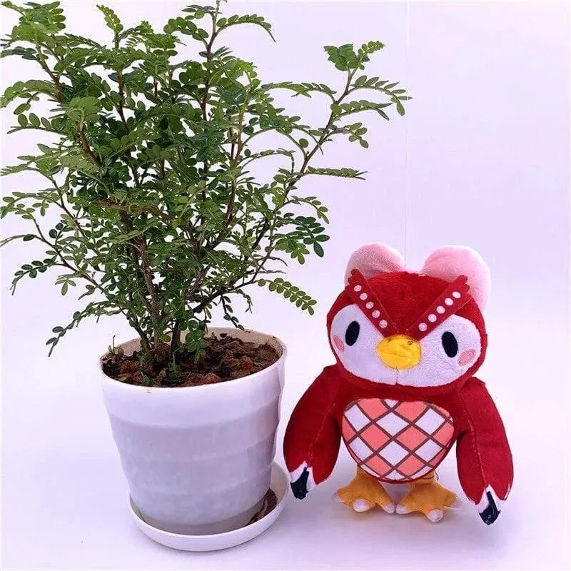 20 cm 28 cm Animal Crossing Plüschtier Cartoon Raymond Gratis Give Away 1 Stück Amiibo Card Stitches Puppe KK Isabelle Plüschtiere