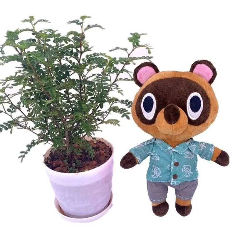 20 cm 28 cm Animal Crossing Plüschtier Cartoon Raymond Gratis Give Away 1 Stück Amiibo Card Stitches Puppe KK Isabelle Plüschtiere