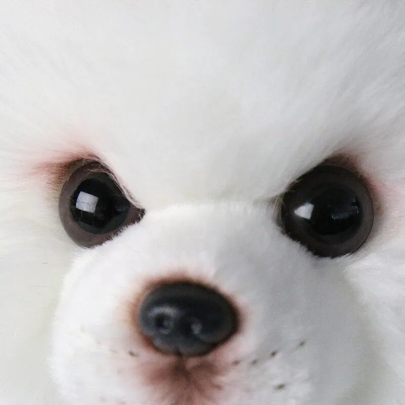 Plüsch Pommersche Hundepuppe Simulation Hund Kuscheltier Spielzeug Super Realistisches Hundespielzeug Für Tierliebhaber Luxus Wohnkultur Schneewittchen (28cm)
