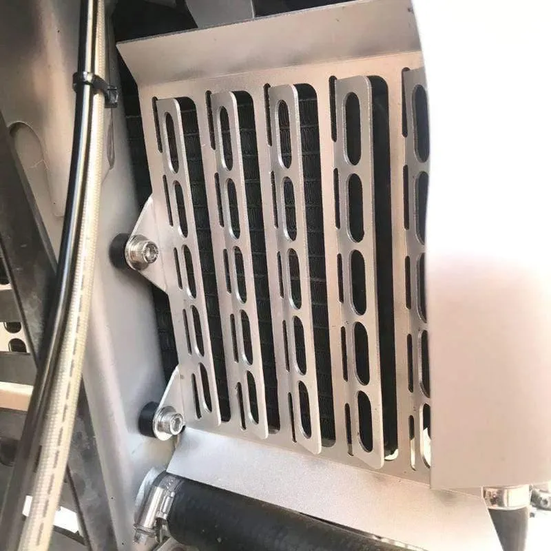 Silber Kühlergrillschutzabdeckung Schutz Motorradteile Für G650GS F650GS Dakar (Silber)
