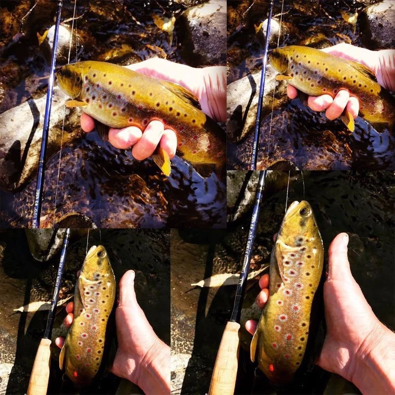 3WT/4WT Nymph Fliegenfischerrute Graphit Kohlefaser 10FT 4Sec mit Cordura-Rohr
