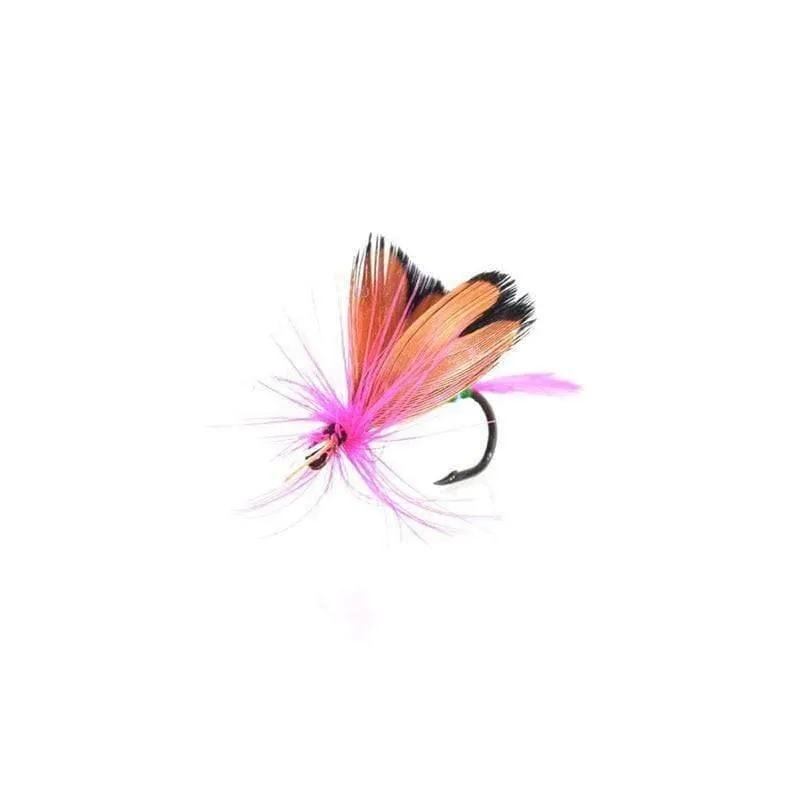 12 Stück Trockenfliegen Fliegenfischen Fliegen Kit Bass Lachs Forellen Fliegen Schwimmende Angelköder Angelköder
