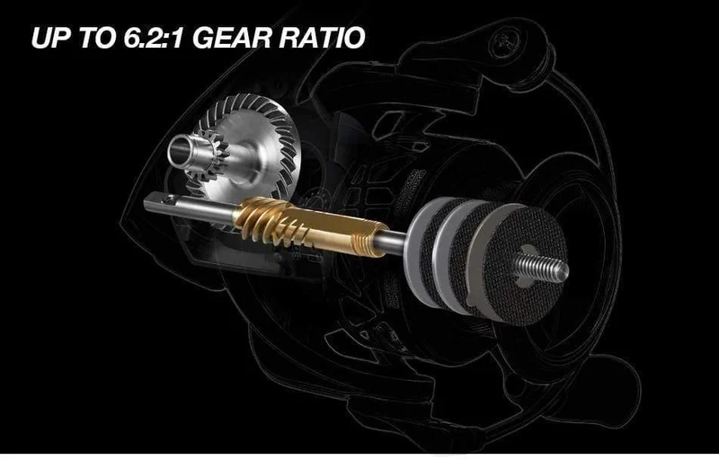 Carbon X Spinnrolle 5.2:1/6.2:1 Übersetzungsverhältnis Leicht bis 162 g 11BB 15 kg Max Drag Salzwasser Süßwasser Angelrolle