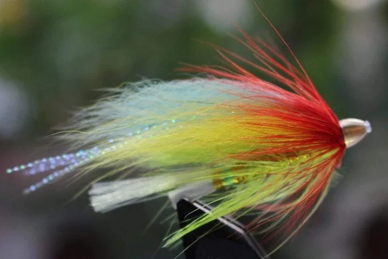 40 PC / Los Kegel-Hauptrohr-Fliege 5 sortierte Farben-populäres Luftschlangen-Fliegen-Lachsforelle Steelhead-Fliegen-Fischen fliegt die eingestellten Köder
