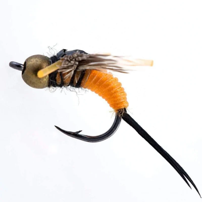 40PCS Fliegen Angeln Locken Nass Fliegen Angeln Fliegen Angeln Köder Fliegen Angeln Köder Box
