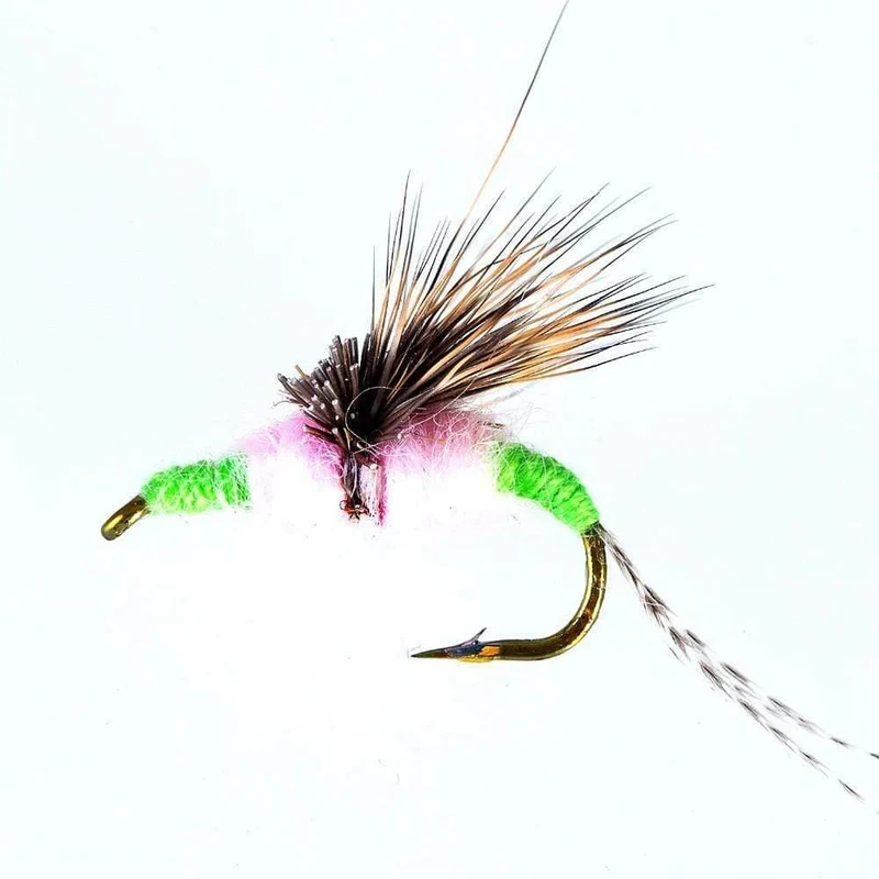 40PCS Fliegen Angeln Locken Nass Fliegen Angeln Fliegen Angeln Köder Fliegen Angeln Köder Box