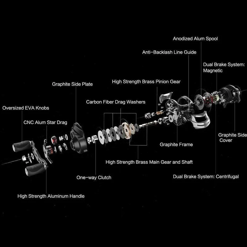 Royale Legend Right oder Left Baitcasting Reel 12BBs 7.0: 1 Karpfen Angelrolle mit magnetischer und zentrifugaler Doppelbremse