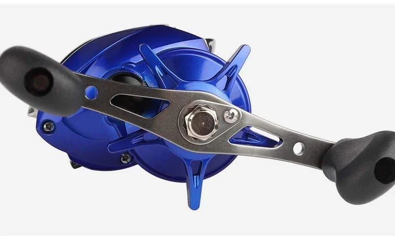 8.1:1 Verhältnis Dual Brake System Baitcastingrolle 8kg Drag Power 12+1 BB Köder Angelrolle für Salzwasser Angelrad
