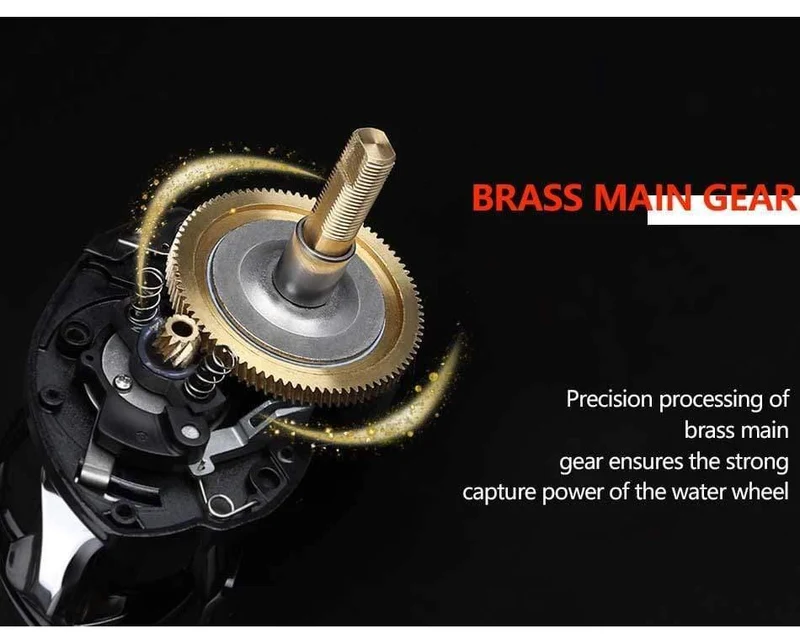 8.1:1 Verhältnis Dual Brake System Baitcastingrolle 8kg Drag Power 12+1 BB Köder Angelrolle für Salzwasser Angelrad