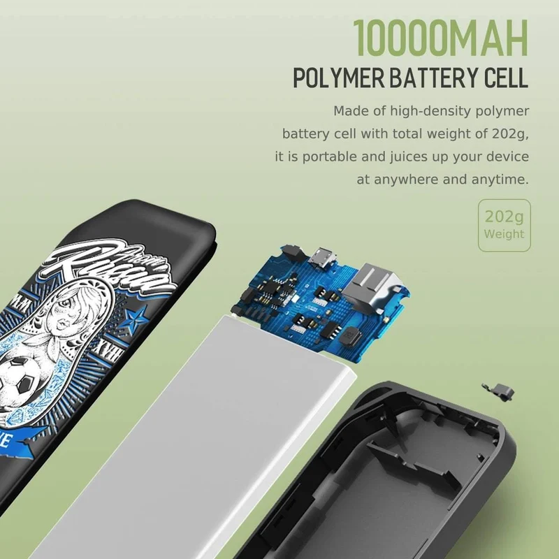 ROCK 2018 Slim Power Bank 10000 mAh für World Powerbank 2.1 A Ausgang Externer Akku Tragbares Ladegerät für iPhone Samsung