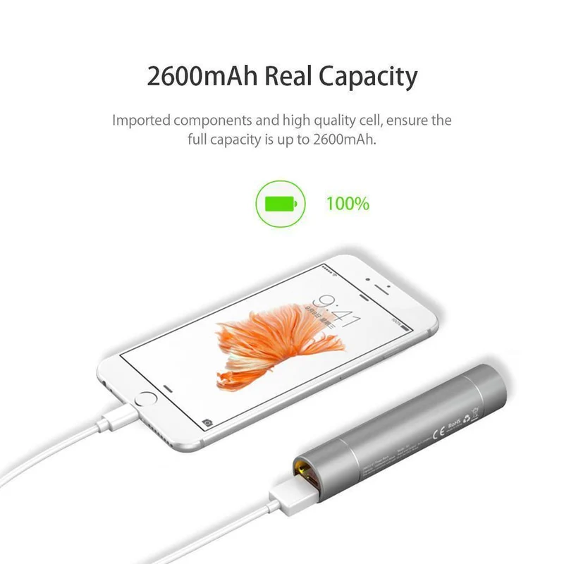 ORICO 2600mAh Externer Akku Portable Aluminium Power Bank für iPhone iPad Xiaomi Samsung LG Android mit SOS-Taschenlampe