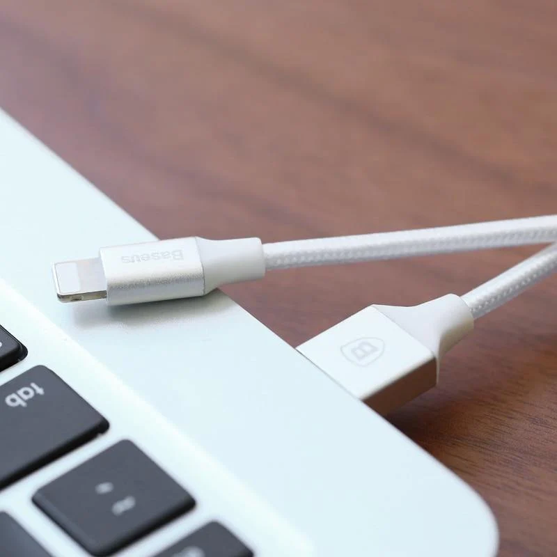 Baseus USB-Kabel für iPhone X 8 5 5s 6s 6 7 Handy 2A Schnellladekabel Datensynchronisationskabel Kabel für IOS 8 9 10 11