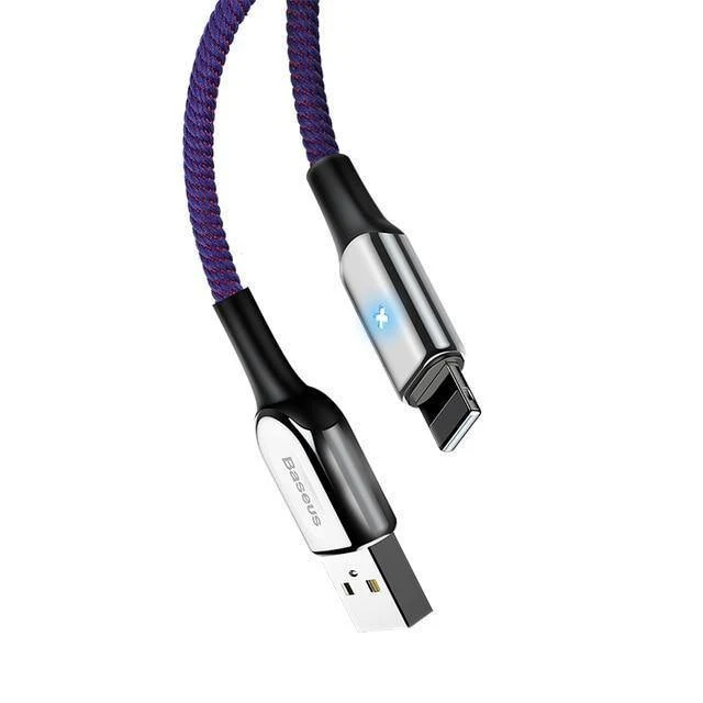 Baseus Lighting USB-Kabel für iPhone X XS Max XR 8 7 6 6s Plus SE iPad Schnellladekabel Daten 2.4A Handykabel