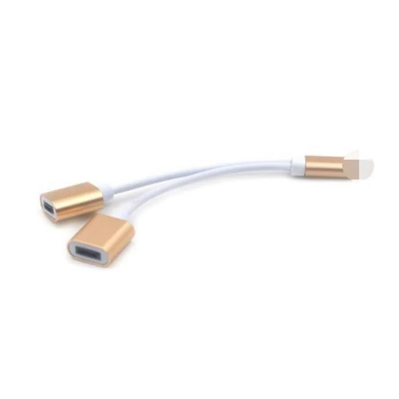 2 in 1 Dual Für Lightning Adapter Audio Lade Splitter Kabel für iPhone X 8 7 Plus Kopfhörer Kopfhörer Konverter für iOS 11