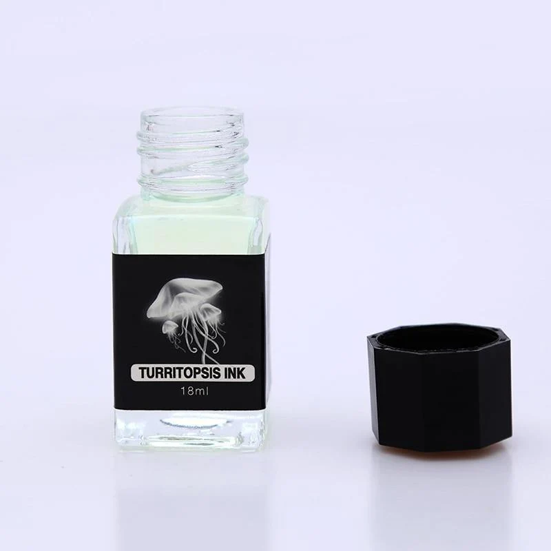Lighthouse unsichtbare Tinte für Füllfederhalter, kohlenstofffreie kreative Farbtinte für Glas-Tauchstift, 18 ml, mit UV-Taschenlampe