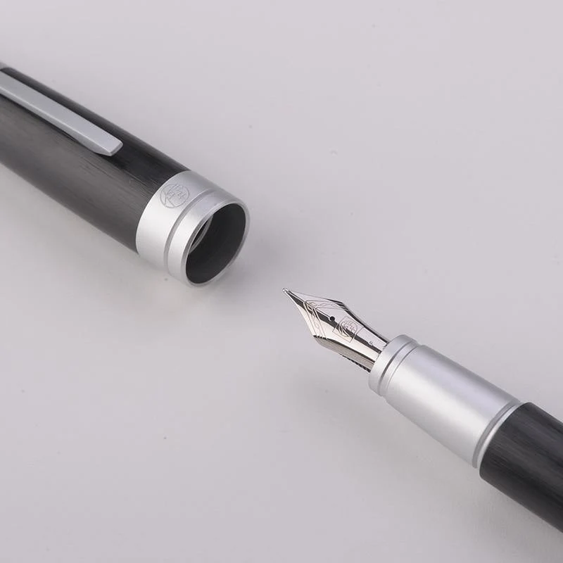 Picasso Iraurita Füllfederhalter 0.5 mm Tintenstifte bestes Geschenk 1072