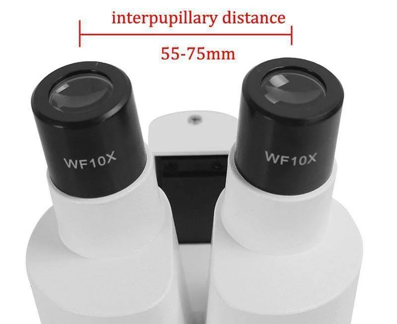 Binokulares Stereomikroskop 20X / 40X über LED beleuchtet PWB-Lötwerkzeug-Handy-Reparatur