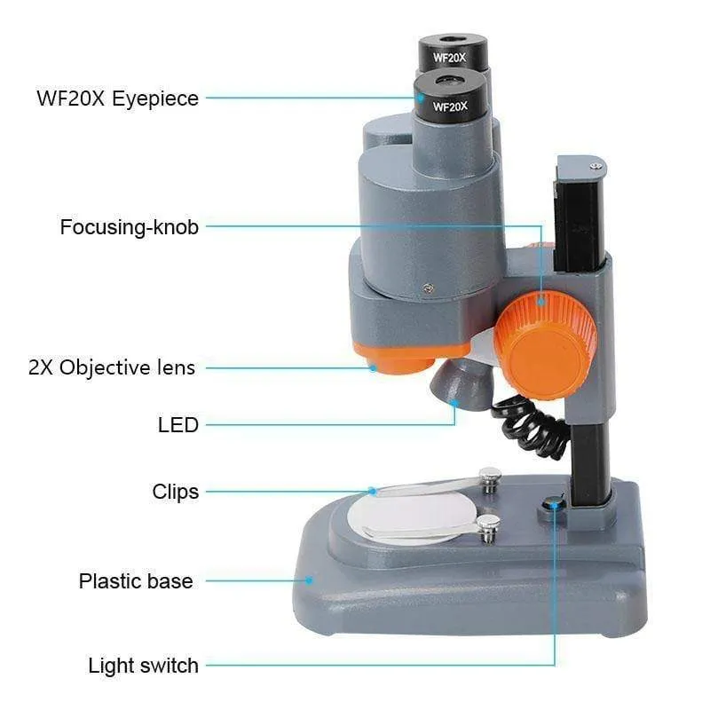 Binokulares Stereomikroskop 20X / 40X über LED beleuchtet PWB-Lötwerkzeug-Handy-Reparatur