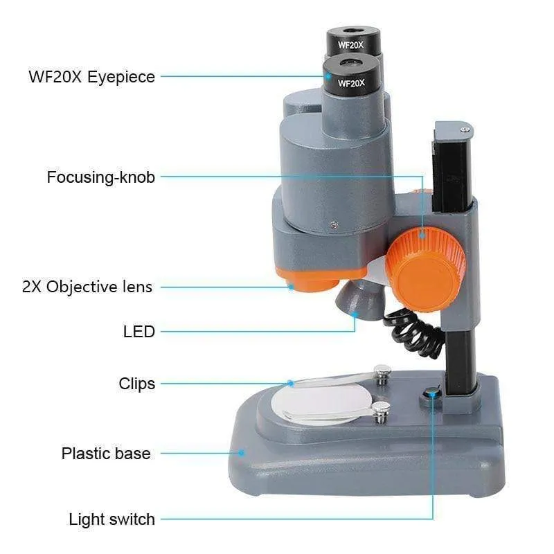 Binokulares Stereomikroskop 20X / 40X über LED beleuchtet PWB-Lötwerkzeug-Handy-Reparatur