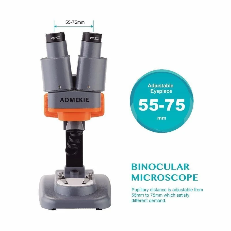 40X Binokular Stereo Mikroskop Top LED PCB Solder Mineral Probe Beobachten Kinder Wissenschaft Bildung Telefon Reparatur Werkzeug