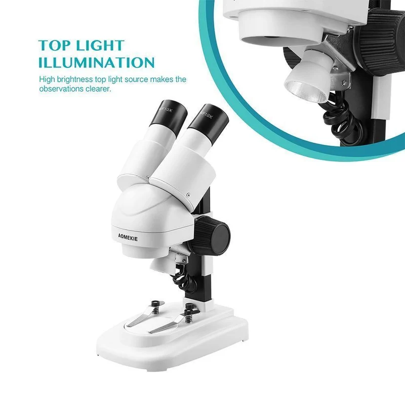 20X Stereomikroskop Binokular geneigte Okulare Top LED PCB Löttelefon Reparatur