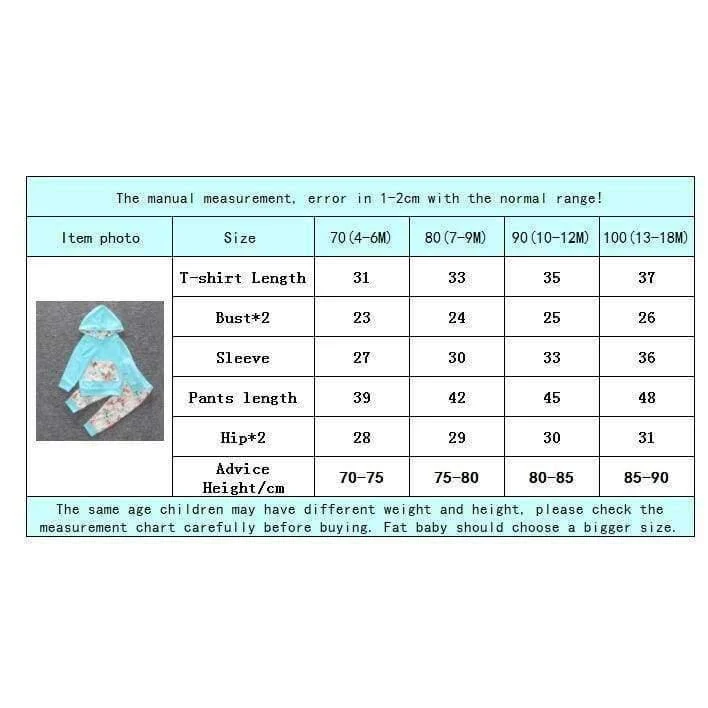 Baby Autumn new baby boy clothes Children Baby Girls Long Sleeve Hooded Tops Floral pants 2 pcs. clothing set SY188