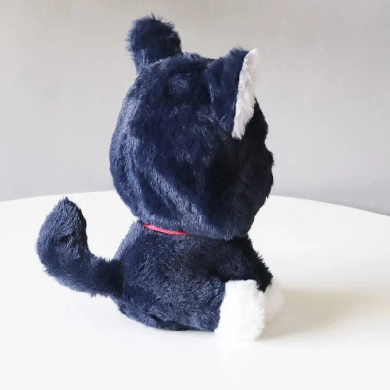 22cm Anime Scaramouche Katze süße Plüschpuppe Genshin Impact Wanderer Pet Cosplay gefülltes Kissen Spielzeug Geburtstagsgeschenk